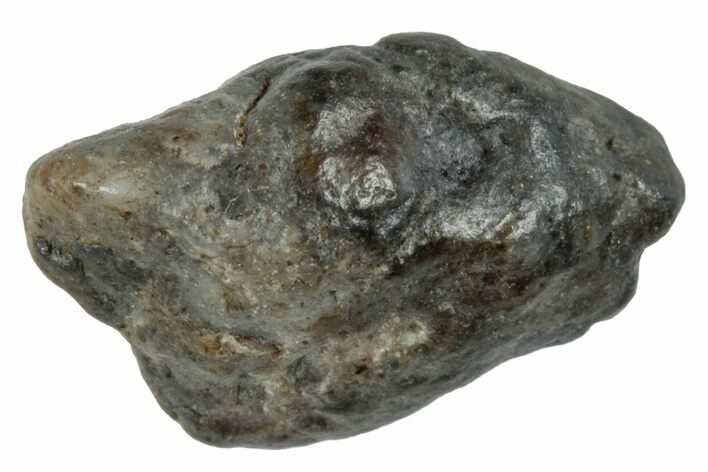 Lunar Meteorite ( g) - Laayoune #281532